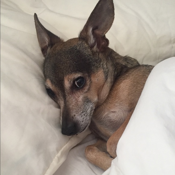 Miko Martin, Posh Ambassador - Picture 3 of 3